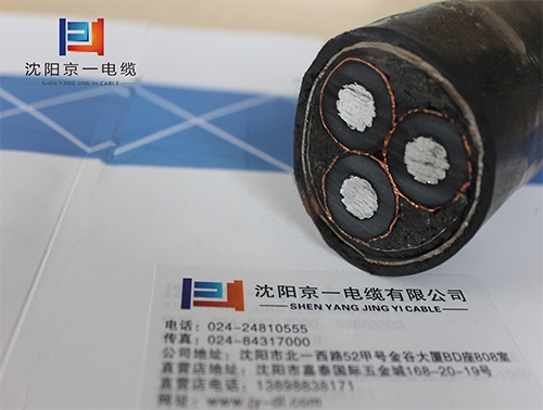 广安铝芯高压电力电缆